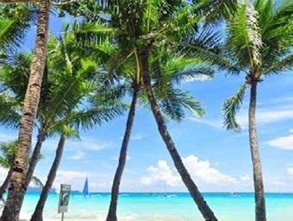 Hotel Boracay Coco Huts Balabag  Esterno foto